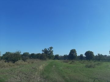 HUERTA DE CITRICOS EN VENTA EN CADEREYTA JIMENEZ NUEVO LEON, SAN JUAN LAS TRANCAS, EN PRODUCCION 90.3919 HAS, DE UN TOTAL DE 110 HAS O MÁS
