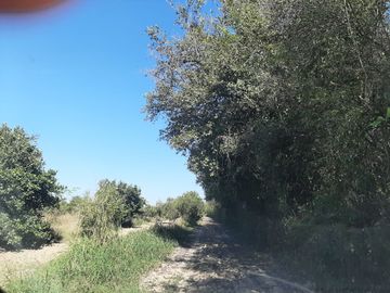 HUERTA DE CITRICOS EN VENTA EN CADEREYTA JIMENEZ NUEVO LEON, SAN JUAN LAS TRANCAS, EN PRODUCCION 90.3919 HAS, DE UN TOTAL DE 110 HAS O MÁS