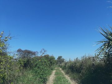 HUERTA DE CITRICOS EN VENTA EN CADEREYTA JIMENEZ NUEVO LEON, SAN JUAN LAS TRANCAS, EN PRODUCCION 90.3919 HAS, DE UN TOTAL DE 110 HAS O MÁS