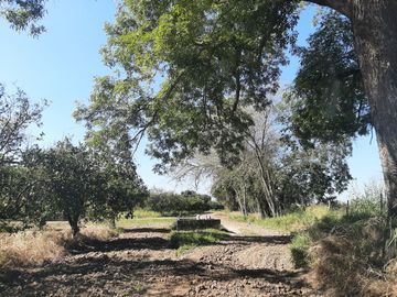 HUERTA DE CITRICOS EN VENTA EN CADEREYTA JIMENEZ NUEVO LEON, SAN JUAN LAS TRANCAS, EN PRODUCCION 90.3919 HAS, DE UN TOTAL DE 110 HAS O MÁS