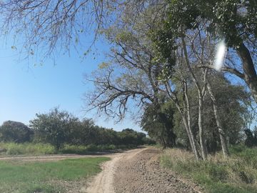 HUERTA DE CITRICOS EN VENTA EN CADEREYTA JIMENEZ NUEVO LEON, SAN JUAN LAS TRANCAS, EN PRODUCCION 90.3919 HAS, DE UN TOTAL DE 110 HAS O MÁS