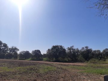 HUERTA DE CITRICOS EN VENTA EN CADEREYTA JIMENEZ NUEVO LEON, SAN JUAN LAS TRANCAS, EN PRODUCCION 90.3919 HAS, DE UN TOTAL DE 110 HAS O MÁS