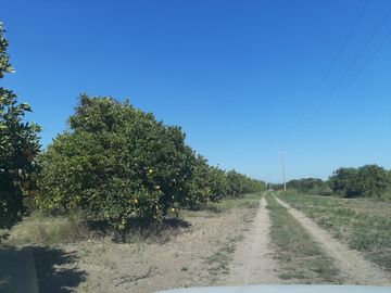 HUERTA DE CITRICOS EN VENTA EN CADEREYTA JIMENEZ NUEVO LEON, SAN JUAN LAS TRANCAS, EN PRODUCCION 90.3919 HAS, DE UN TOTAL DE 110 HAS O MÁS