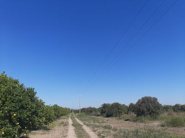 HUERTA DE CITRICOS EN VENTA EN CADEREYTA JIMENEZ NUEVO LEON, SAN JUAN LAS TRANCAS, EN PRODUCCION 90.3919 HAS, DE UN TOTAL DE 110 HAS O MÁS