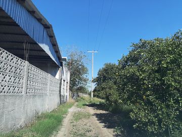 HUERTA DE CITRICOS EN VENTA EN CADEREYTA JIMENEZ NUEVO LEON, SAN JUAN LAS TRANCAS, EN PRODUCCION 90.3919 HAS, DE UN TOTAL DE 110 HAS O MÁS