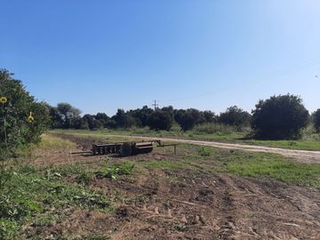 HUERTA DE CITRICOS EN VENTA EN CADEREYTA JIMENEZ NUEVO LEON, SAN JUAN LAS TRANCAS, EN PRODUCCION 90.3919 HAS, DE UN TOTAL DE 110 HAS O MÁS