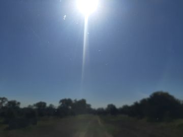 HUERTA DE CITRICOS EN VENTA EN CADEREYTA JIMENEZ NUEVO LEON, SAN JUAN LAS TRANCAS, EN PRODUCCION 90.3919 HAS, DE UN TOTAL DE 110 HAS O MÁS