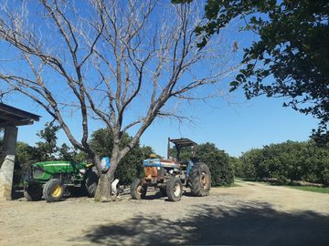 HUERTA DE CITRICOS EN VENTA EN CADEREYTA JIMENEZ NUEVO LEON, SAN JUAN LAS TRANCAS, EN PRODUCCION 90.3919 HAS, DE UN TOTAL DE 110 HAS O MÁS