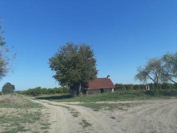HUERTA DE CITRICOS EN VENTA EN CADEREYTA JIMENEZ NUEVO LEON, SAN JUAN LAS TRANCAS, EN PRODUCCION 90.3919 HAS, DE UN TOTAL DE 110 HAS O MÁS