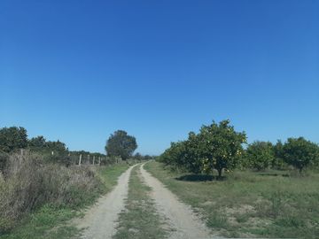 HUERTA DE CITRICOS EN VENTA EN CADEREYTA JIMENEZ NUEVO LEON, SAN JUAN LAS TRANCAS, EN PRODUCCION 90.3919 HAS, DE UN TOTAL DE 110 HAS O MÁS