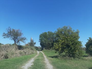 HUERTA DE CITRICOS EN VENTA EN CADEREYTA JIMENEZ NUEVO LEON, SAN JUAN LAS TRANCAS, EN PRODUCCION 90.3919 HAS, DE UN TOTAL DE 110 HAS O MÁS