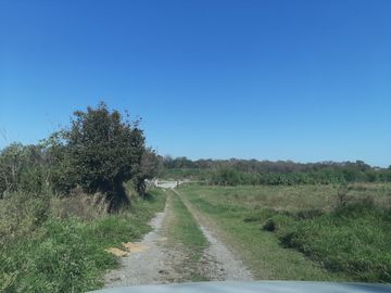 HUERTA DE CITRICOS EN VENTA EN CADEREYTA JIMENEZ NUEVO LEON, SAN JUAN LAS TRANCAS, EN PRODUCCION 90.3919 HAS, DE UN TOTAL DE 110 HAS O MÁS
