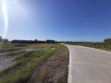 HUERTA DE CITRICOS EN VENTA EN CADEREYTA JIMENEZ NUEVO LEON, SAN JUAN LAS TRANCAS, EN PRODUCCION 90.3919 HAS, DE UN TOTAL DE 110 HAS O MÁS