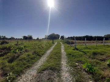 HUERTA DE CITRICOS EN VENTA EN CADEREYTA JIMENEZ NUEVO LEON, SAN JUAN LAS TRANCAS, EN PRODUCCION 90.3919 HAS, DE UN TOTAL DE 110 HAS O MÁS