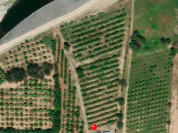 HUERTA DE CITRICOS EN VENTA EN CADEREYTA JIMENEZ NUEVO LEON, SAN JUAN LAS TRANCAS, EN PRODUCCION 90.3919 HAS, DE UN TOTAL DE 110 HAS O MÁS