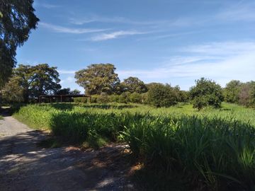 HUERTA DE CITRICOS EN VENTA EN CADEREYTA JIMENEZ NUEVO LEON, SAN JUAN LAS TRANCAS, EN PRODUCCION 90.3919 HAS, DE UN TOTAL DE 110 HAS O MÁS
