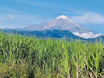 CASA DE CAMPO CON MAS DE UNA HECTAREA DE TERRENO A LAS AFUERAS DE CORDOBA
