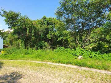 Lote ORQUÍDEA 143 con bonita vista todos los servicios proyecto incluído en Fracc Rancho San Diego Ixtapan de la Sal EDOMEX