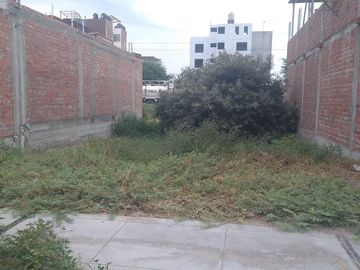 VENTA   DE  TERRENO  URB-CORALES  DE PIURA