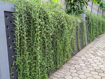 Rumah KHC Cilebut Dekat Stasiun, Baru 2/1 LANTAI, Murah Mewah Minimalis, Sukaraja Bogor, Jual Dijual