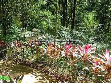 Lot for Sale in Tanay Rizal - Lot Area 1,529sqm Garden Cottages