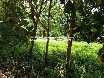 Lot for Sale in Tanay Rizal - Lot Area 1,529sqm Garden Cottages