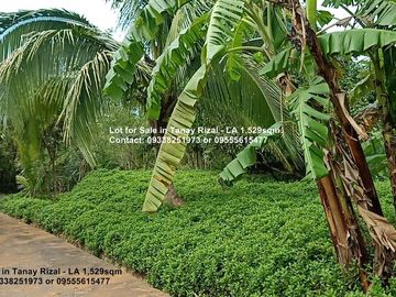 Lot for Sale in Tanay Rizal - Lot Area 1,529sqm Garden Cottages