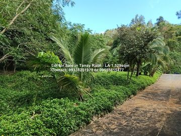 Lot for Sale in Tanay Rizal - Lot Area 1,529sqm Garden Cottages