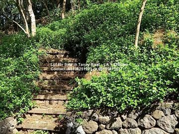 Lot for Sale in Tanay Rizal - Lot Area 1,529sqm Garden Cottages