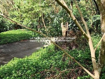 Lot for Sale in Tanay Rizal - Lot Area 1,529sqm Garden Cottages