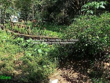 Lot for Sale in Tanay Rizal - Lot Area 1,529sqm Garden Cottages