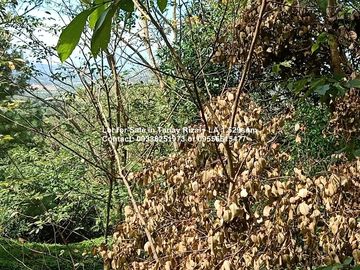 Lot for Sale in Tanay Rizal - Lot Area 1,529sqm Garden Cottages