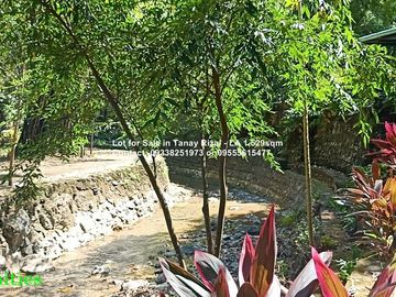 Lot for Sale in Tanay Rizal - Lot Area 1,529sqm Garden Cottages