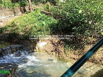 Lot for Sale in Tanay Rizal - Lot Area 1,529sqm Garden Cottages
