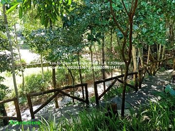 Lot for Sale in Tanay Rizal - Lot Area 1,529sqm Garden Cottages