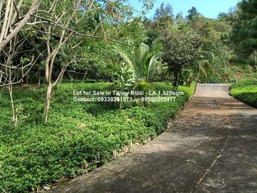 Lot for Sale in Tanay Rizal - Lot Area 1,529sqm Garden Cottages
