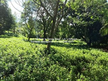 Lot for Sale in Tanay Rizal - Lot Area 1,529sqm Garden Cottages