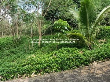 Lot for Sale in Tanay Rizal - Lot Area 1,529sqm Garden Cottages