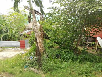 For Sale Residential/ Commercial Lot in Sangi, Pajo Lapu-Lapu City