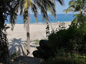 EXCELENTE MACROLOTE DE 89 HA.  DE PLAYA EN SAYULITA NAYARIT