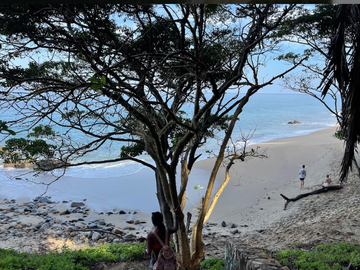 EXCELENTE MACROLOTE DE 89 HA.  DE PLAYA EN SAYULITA NAYARIT