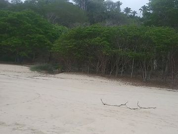 EXCELENTE MACROLOTE DE 89 HA.  DE PLAYA EN SAYULITA NAYARIT