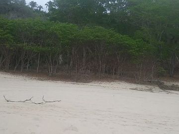 EXCELENTE MACROLOTE DE 89 HA.  DE PLAYA EN SAYULITA NAYARIT