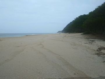 EXCELENTE MACROLOTE DE 89 HA.  DE PLAYA EN SAYULITA NAYARIT
