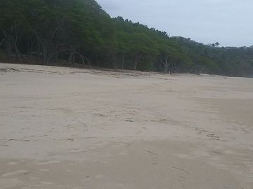 EXCELENTE MACROLOTE DE 89 HA.  DE PLAYA EN SAYULITA NAYARIT