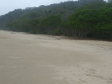 EXCELENTE MACROLOTE DE 89 HA.  DE PLAYA EN SAYULITA NAYARIT