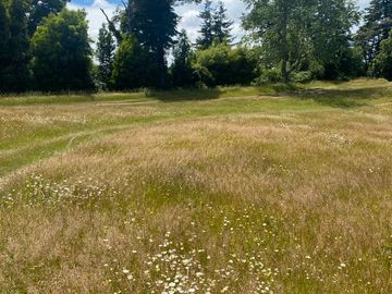 SE VENDE ESPECTACULAR PARCELA A 17 KM DEL CENTRO DE VALDIVIA