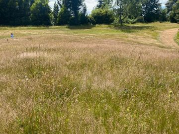 SE VENDE ESPECTACULAR PARCELA A 17 KM DEL CENTRO DE VALDIVIA