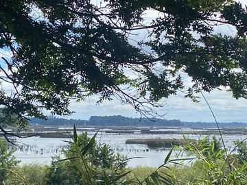 SE VENDE ESPECTACULAR PARCELA A 17 KM DEL CENTRO DE VALDIVIA