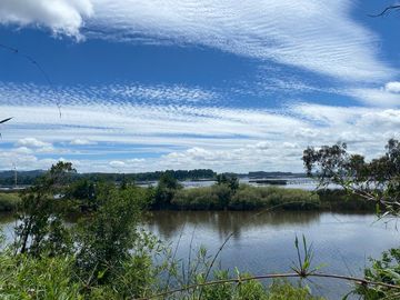 SE VENDE ESPECTACULAR PARCELA A 17 KM DEL CENTRO DE VALDIVIA